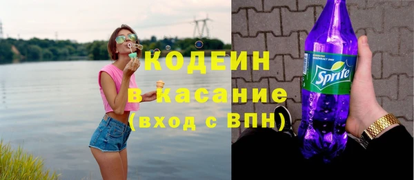 спиды Богданович