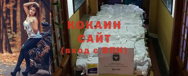 PSILOCYBIN Белоозёрский